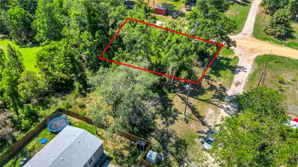 40850 PINE TREE LN, Eustis, FL 32736