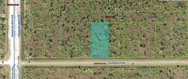 316 CALENDULA DR, Indian Lake Estates, FL 33855