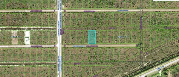 316 CALENDULA DR, Indian Lake Estates, FL 33855