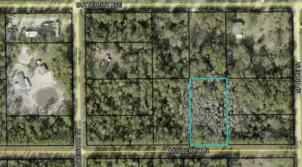 5414 MULBERRY LN, Bunnell, FL 32110
