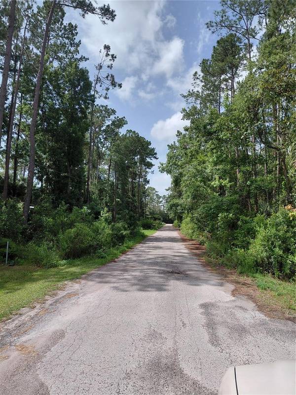 JAMES ST, Astor, FL 32102