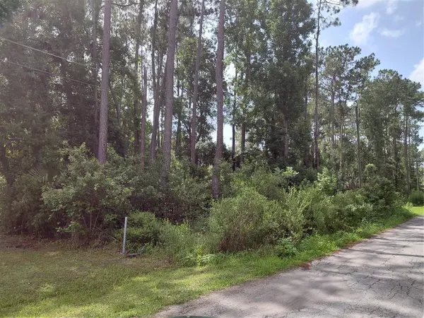 JAMES ST, Astor, FL 32102
