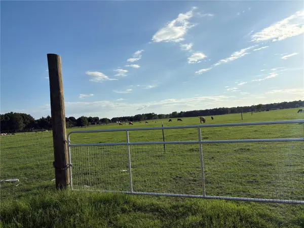 13994 COUNTY ROAD 209, Oxford, FL 34484