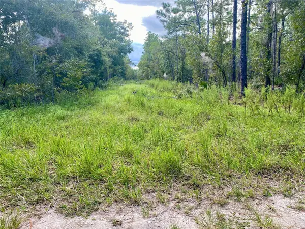 SW 16TH ST, Ocala, FL 34481