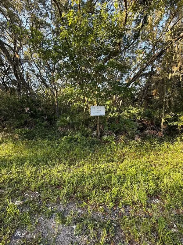 161 WALLACE ST, Interlachen, FL 32148