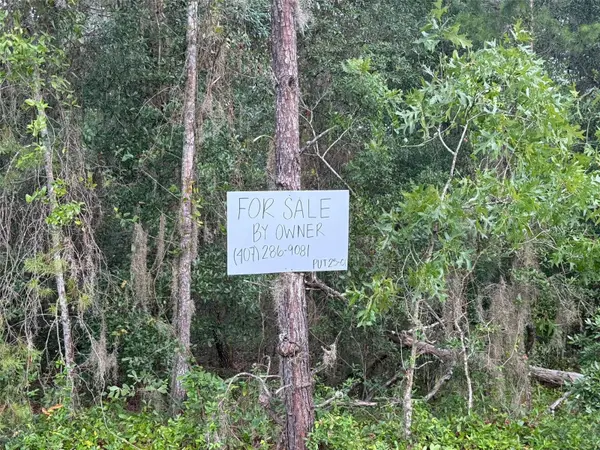 905 E HILLSBOROUGH AVE, Florahome, FL 32140