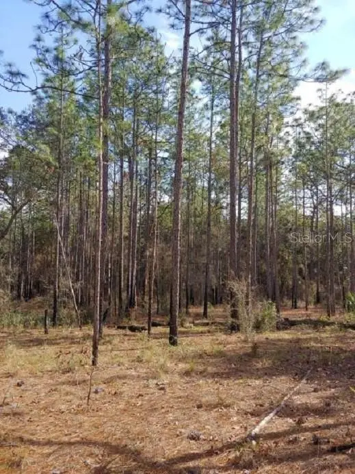 0 US 41 HWY, Floral City, FL 34436