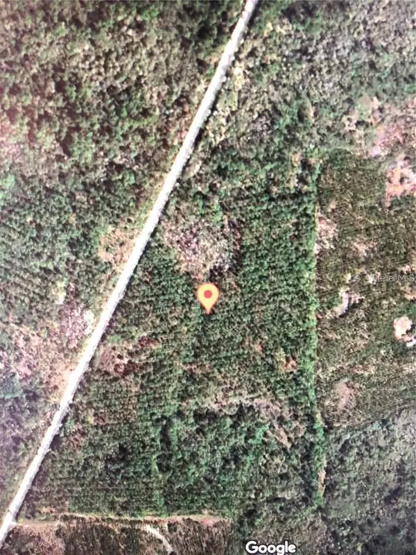 35 Acres MADISON MAIN LINE, Perry, FL 32347