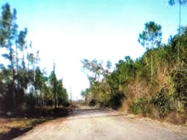 35 Acres MADISON MAIN LINE, Perry, FL 32347
