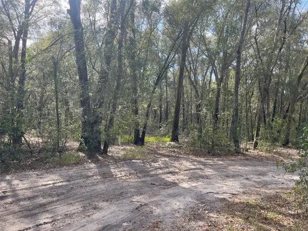 GRAYS AIRPORT RD, Lady Lake, FL 32159