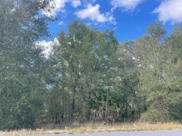 GRAYS AIRPORT RD, Lady Lake, FL 32159