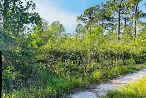 0 SHAKEDOWN STREET, St Cloud, FL 34773