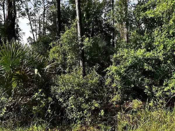 BOYD AVE, North Port, FL 34286