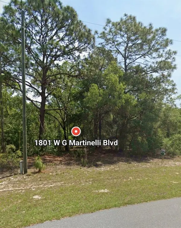 1801 W G MARTINELLI BLVD, Citrus Springs, FL 34434