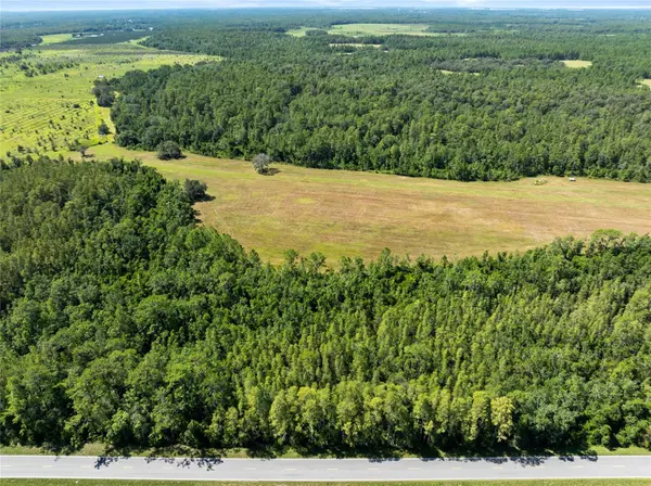 DEEN STILL RD, Polk City, FL 33868
