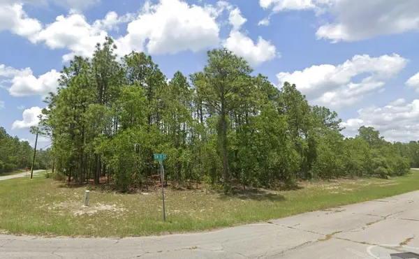 SW 82ND CT RD, Ocala, FL 34473