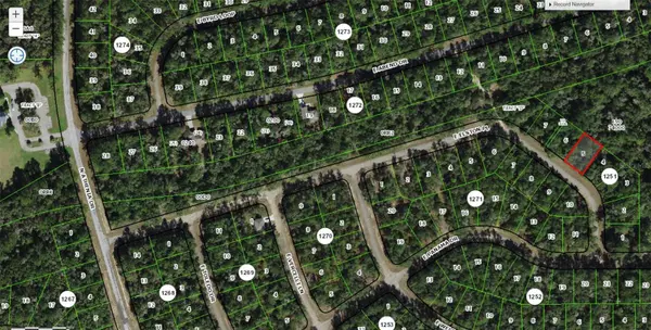 875 E ELSTON PL, Citrus Springs, FL 34434