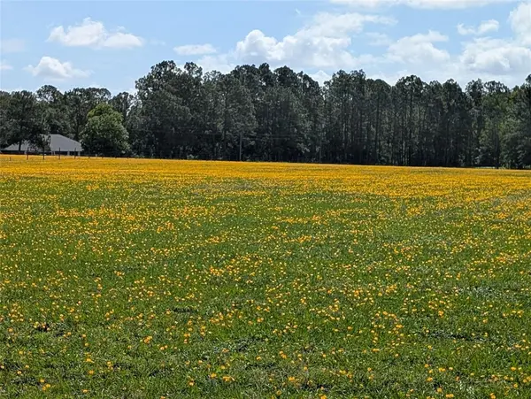 GREEN SWAMP RD, Clermont, FL 34714
