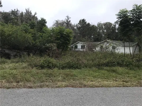3057 CR 431N, Lake Panasoffkee, FL 33538