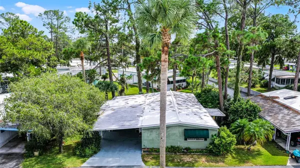 192 PALM MEADOWS DR, Eustis, FL 32726