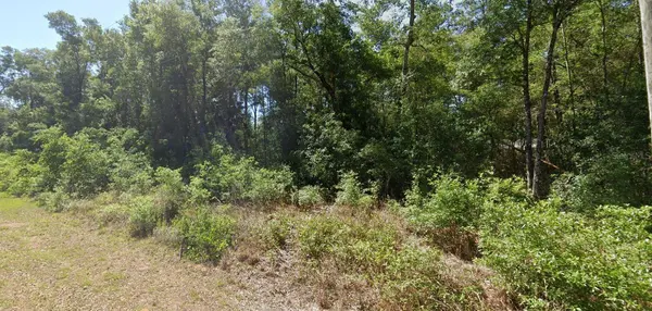 00 SW STARLING DR, Dunnellon, FL 34431
