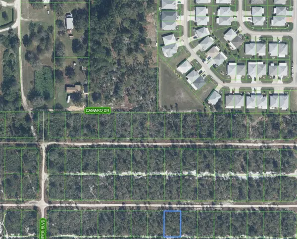 629 PARAKEET AVE, Sebring, FL 33872