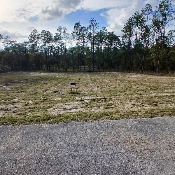 NARCISSUS, Dunnellon, FL 34431