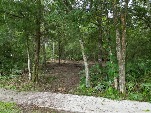 2039 N 6TH ST, Orlando, FL 32820