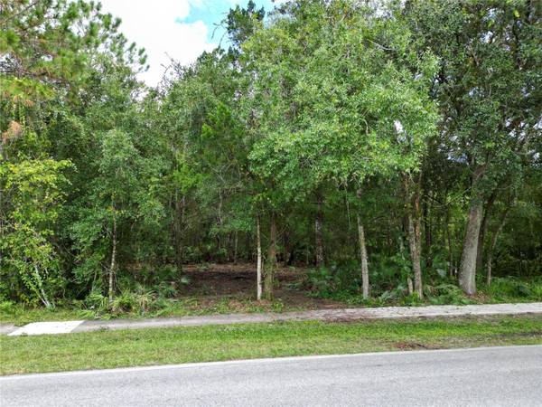 2039 N 6TH ST, Orlando, FL 32820