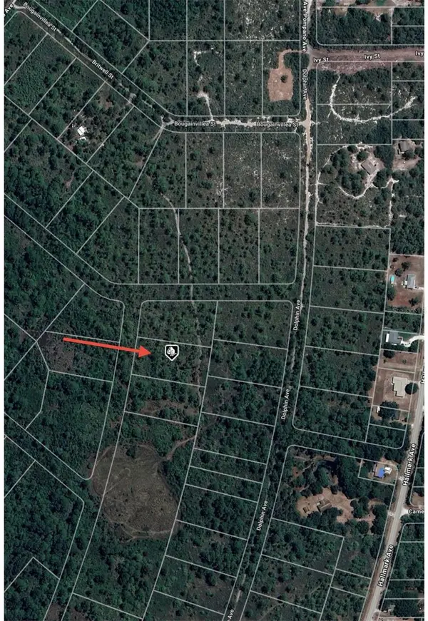 745 MARLIN ST, Lake Placid, FL 33852