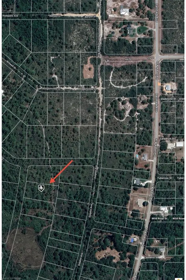 745 MARLIN ST, Lake Placid, FL 33852