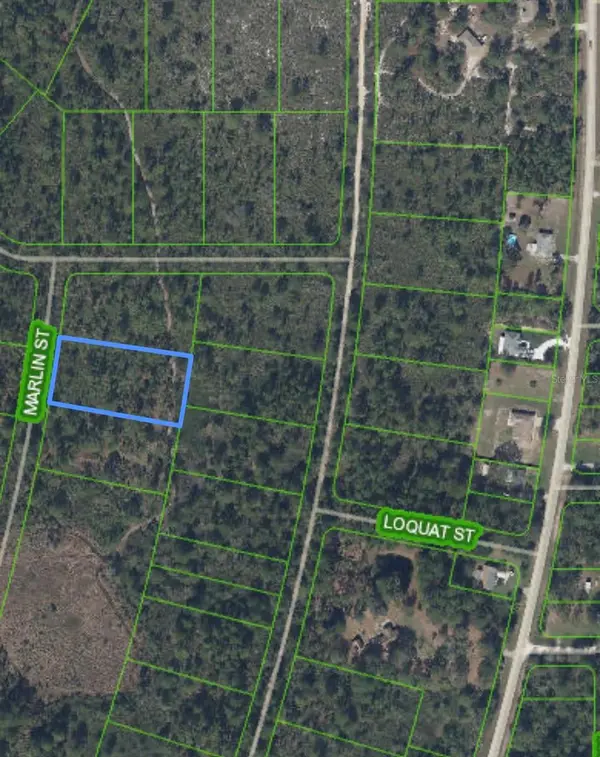 745 MARLIN ST, Lake Placid, FL 33852