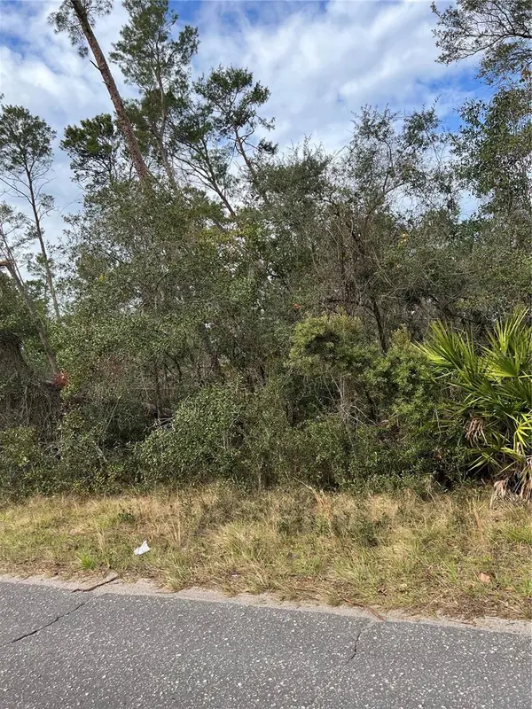 FISHERMANS RD, Paisley, FL 32767