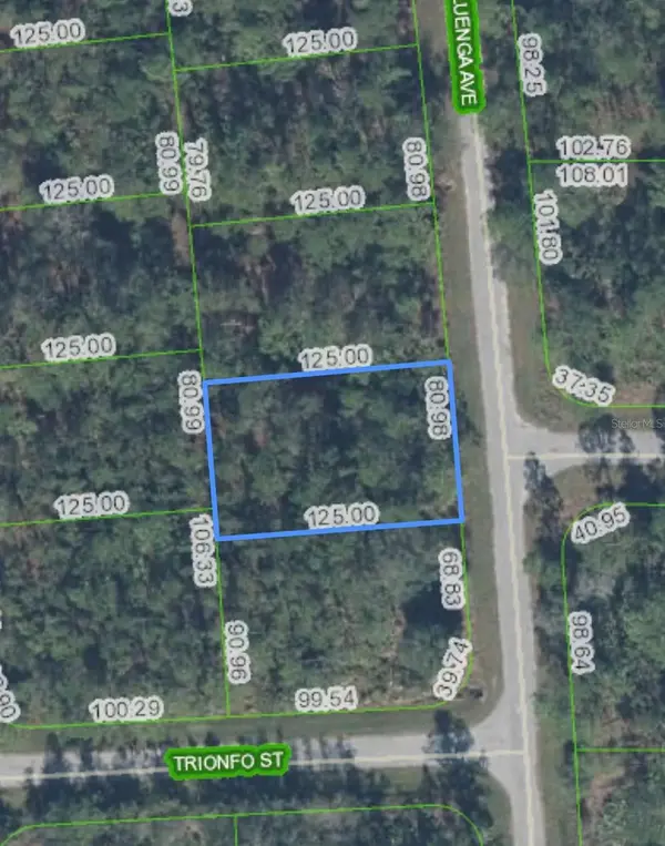5119 LUENGA AVE, Sebring, FL 33872