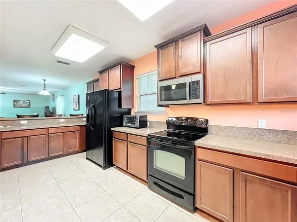 10100 GREEN BRANCH CT, Orlando, FL 32825