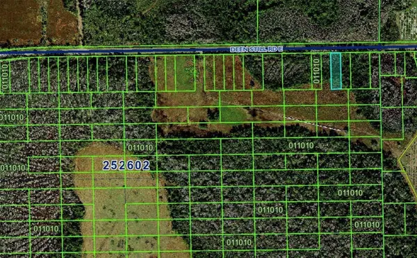 DEEN STILL RD E, Polk City, FL 33868