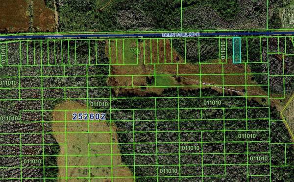 DEEN STILL RD E, Polk City, FL 33868
