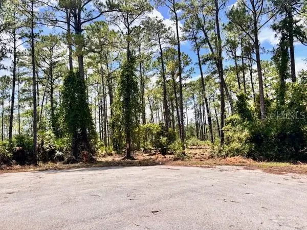 CHINABERRY WAY, Eustis, FL 32736