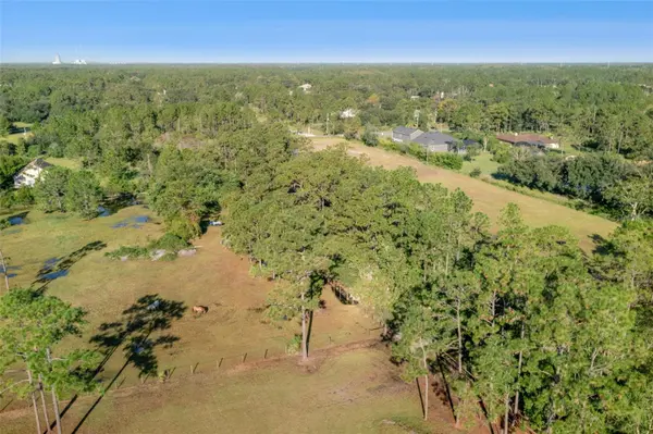 BABBITT AVE, Orlando, FL 32833