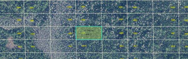 DILL RD, Orlando, FL 32820