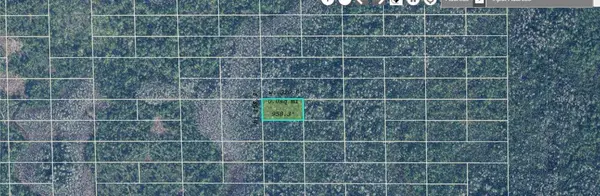 DILL RD, Orlando, FL 32820