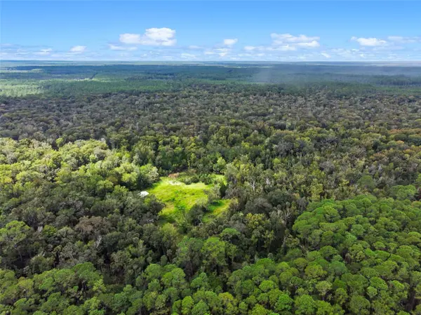 NFS 73 / ALCO RD, Astor, FL 32102