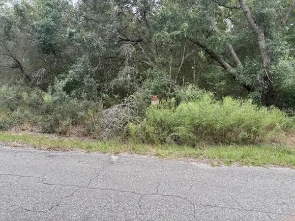 Address not disclosed, Ocklawaha, FL 32179