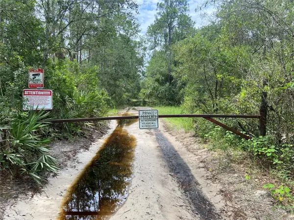 LAKE HARNEY RD, Osteen, FL 32764