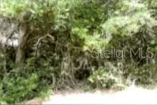 12325 & 12303 STAGG RD, Winter Garden, FL 34787