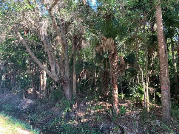 1310 PALM WAY, Sanford, FL 32773