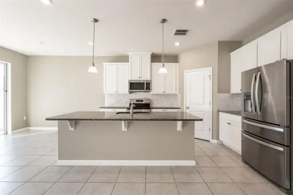 334 WINTER BLISS LN, Mount Dora, FL 32757