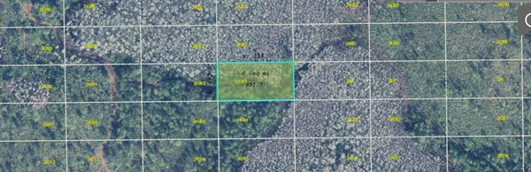 DILL RD, Orlando, FL 32820