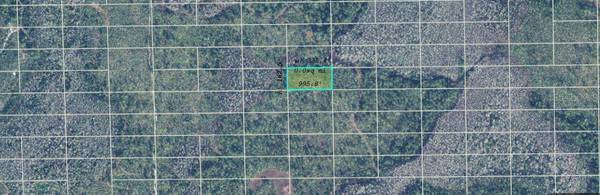 DILL RD, Orlando, FL 32820