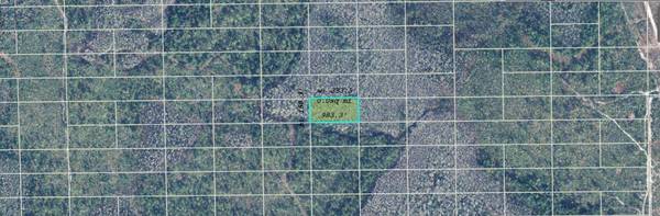 DILL RD, Orlando, FL 32820